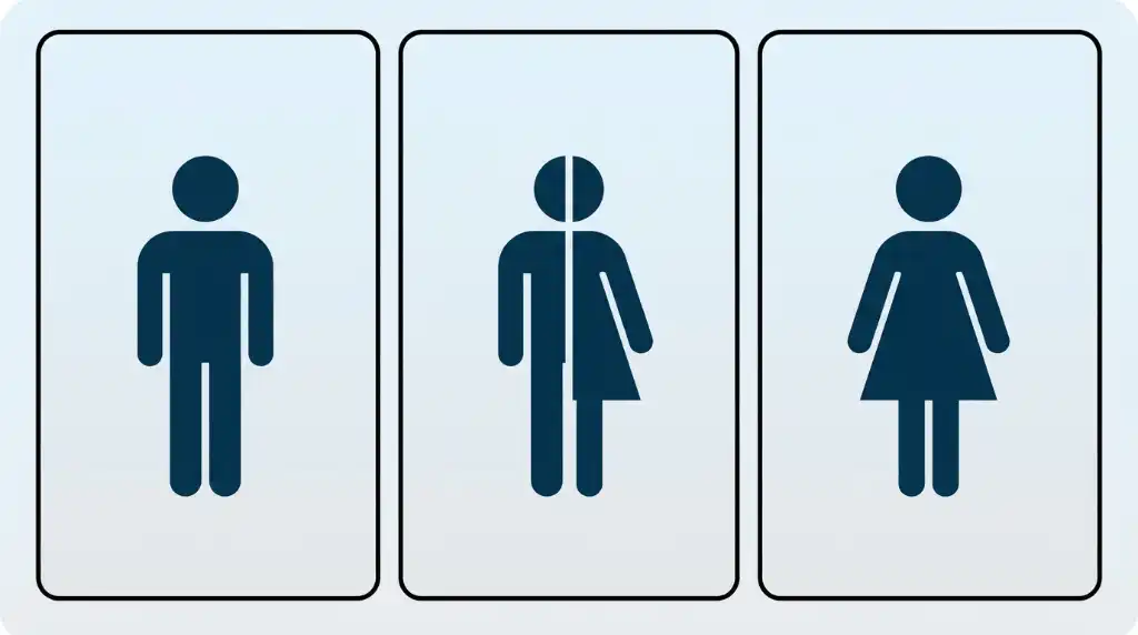 Männlein Weiblein Trans